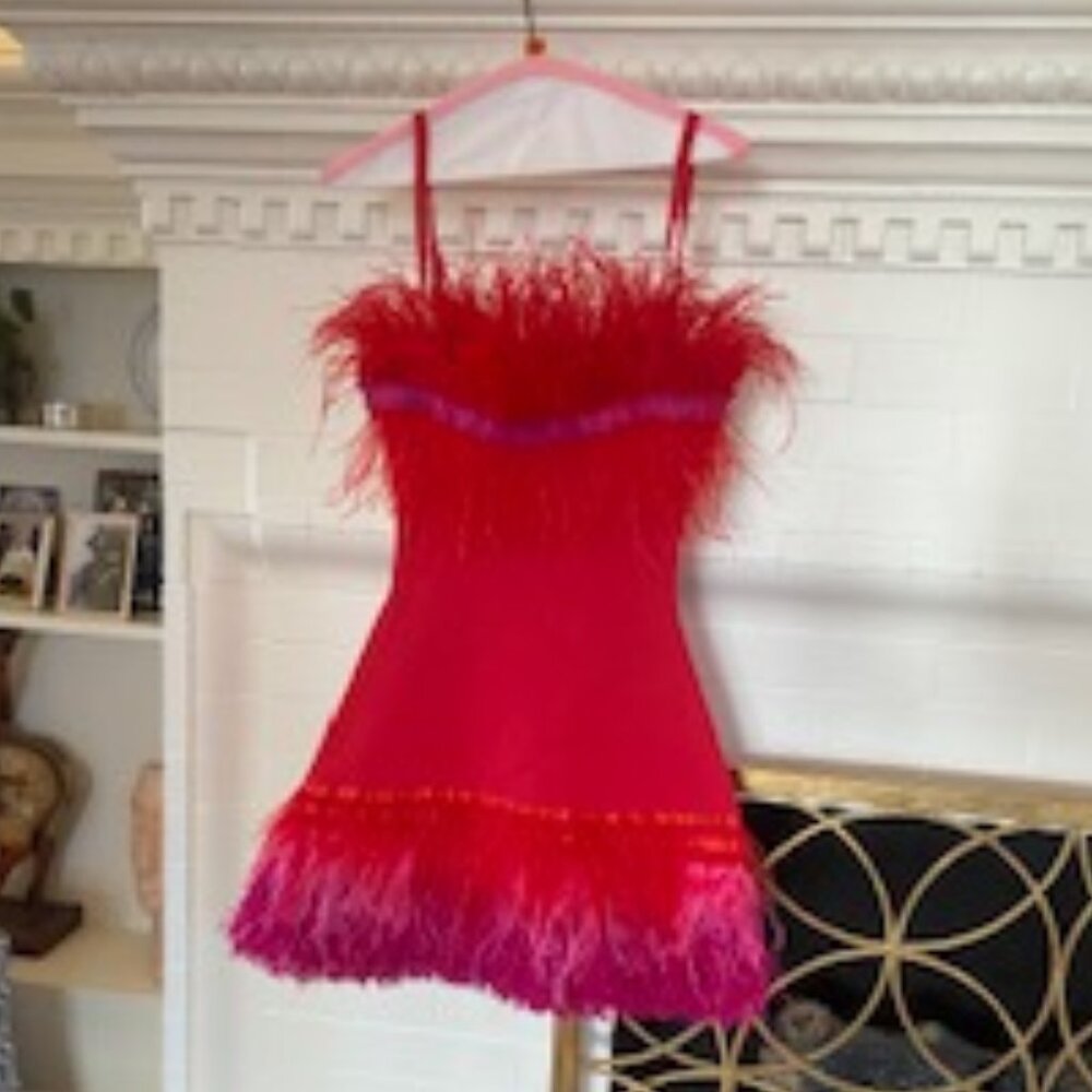 Red and Pink Feathered Dress